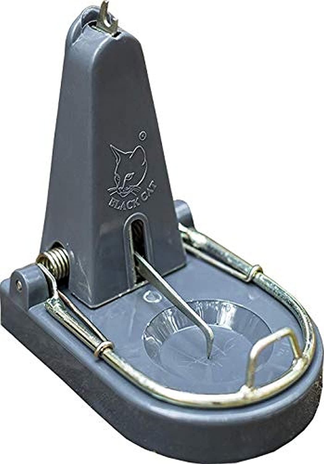 Picture of Rat Trap